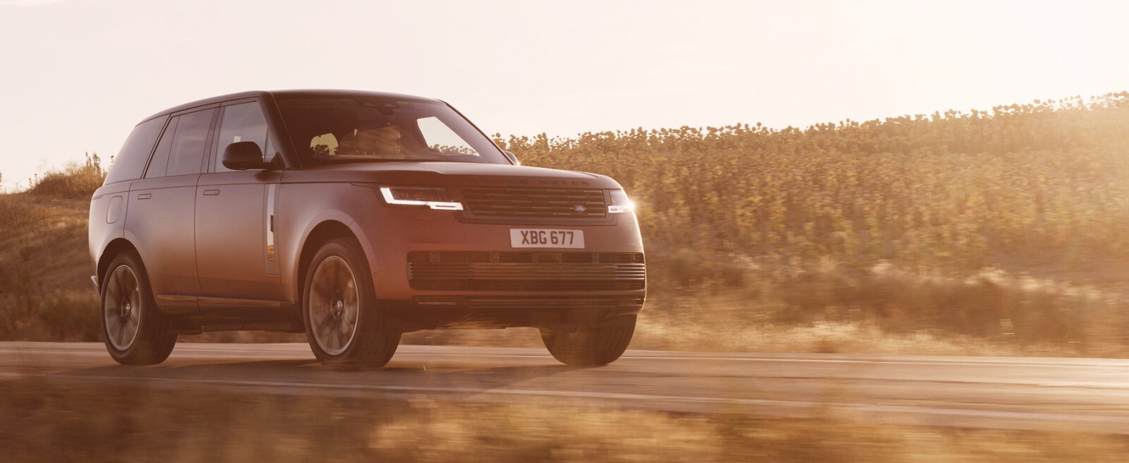 RR-MD-Spain-Sunrise-Copper-Satin-05 (1)